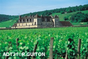 Château du Clos de Vougeot