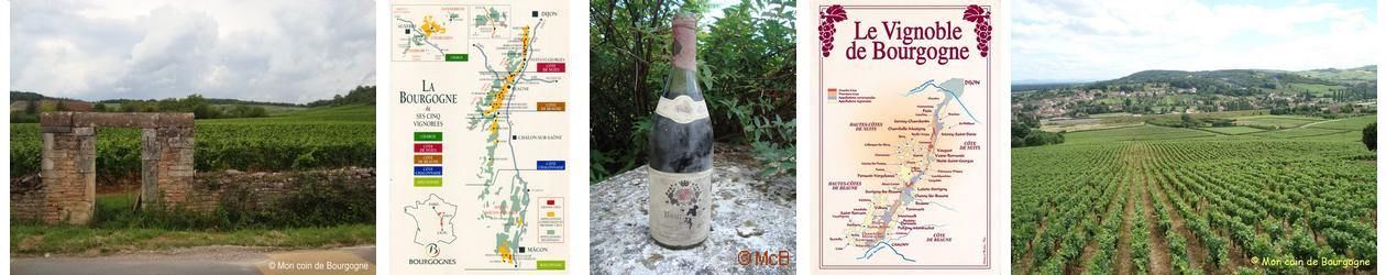 bandeau vignes et vins