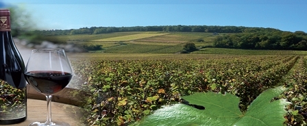 Clos de Bourgogne - Illustration