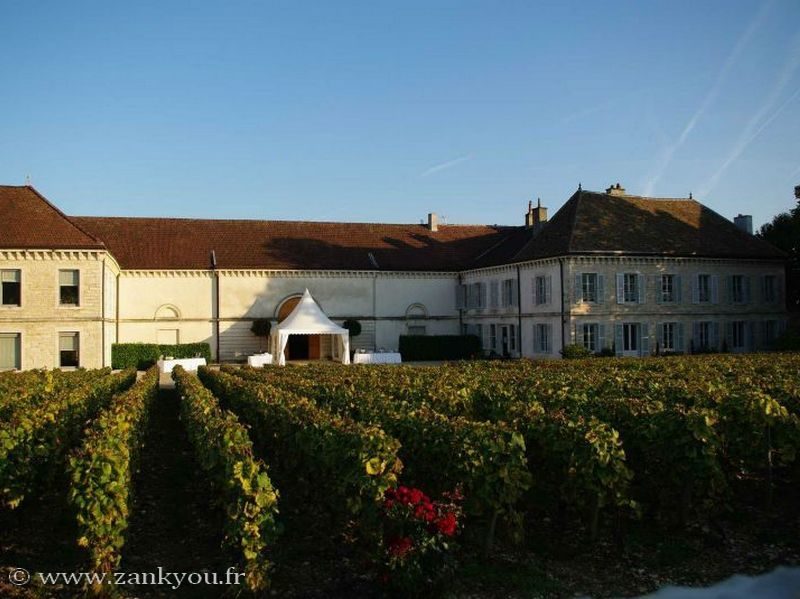 Vue sur le château, avec les vignes