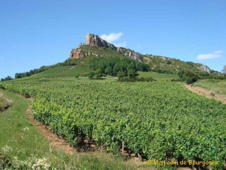 Vue sur Solutré